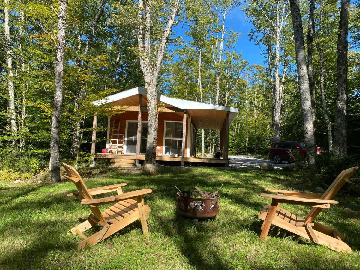 Bear Cabin - Forest Retreat Nearby Lake - Not On Waterfront East Kemptville Exterior foto