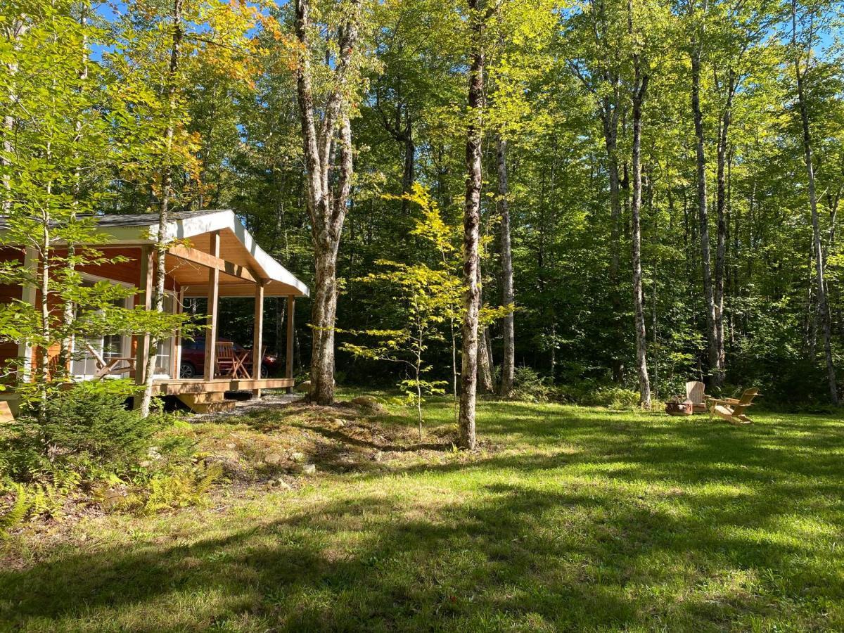 Bear Cabin - Forest Retreat Nearby Lake - Not On Waterfront East Kemptville Exterior foto